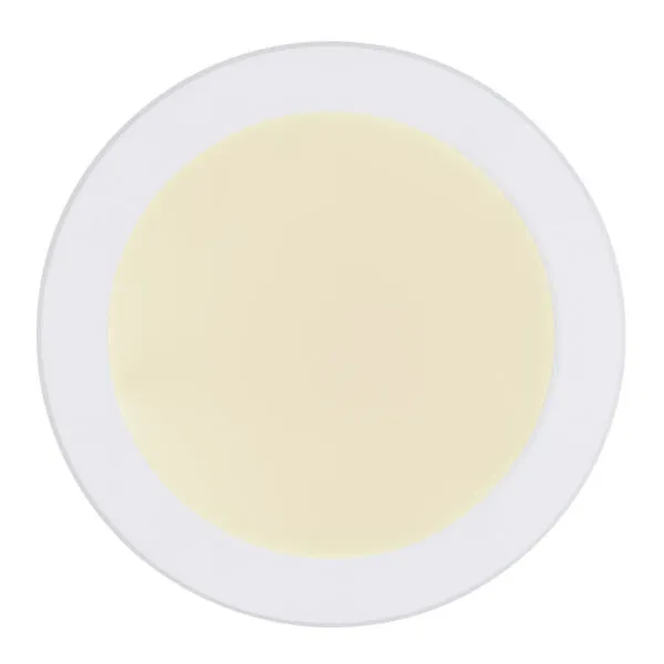 12379-18W_d-600x600 LASSE LED PLAFONJERA 12379-18W GLOBO LIGHTING - Slika 3