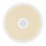 RAFFY LED MUZICKA PLAFONJERA 41366W GLOBO LIGHTING - Slika 4