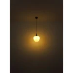 MAXY 15548-4HC VISILICA GLOBO LIGHTING - Image 6