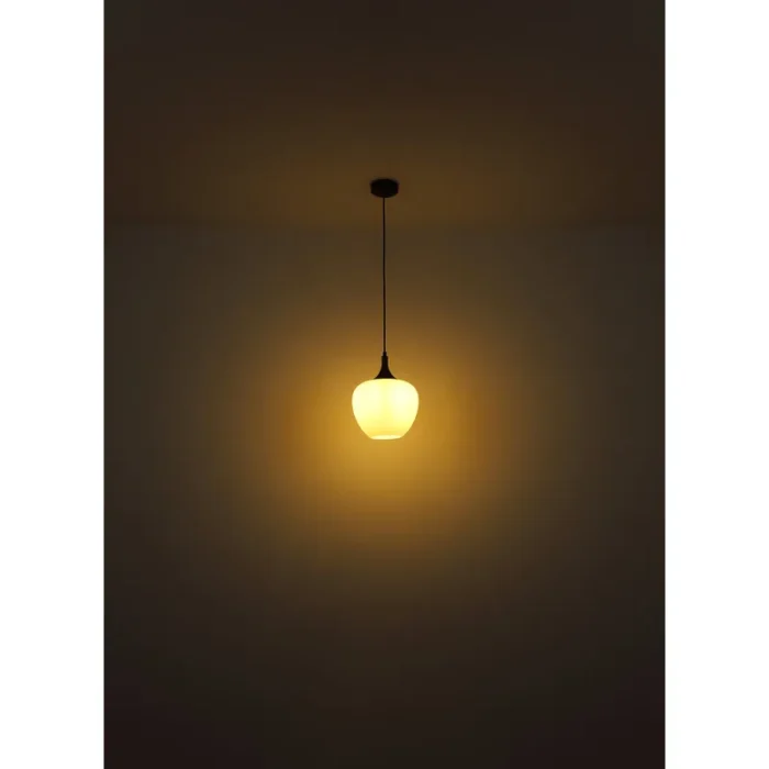 MAXY 15548-4HC VISILICA GLOBO LIGHTING - Image 6