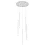 BLAKE 15629W-5 VISILICA GLOBO LIGHTING