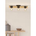 BAILRIGG PLAFONSKA LAMPA 43901 EGLO - Slika 5