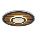 WOODY 67345D4 LED PLAFONSKA LAMPA GLOBO LIGHTING - Image 5