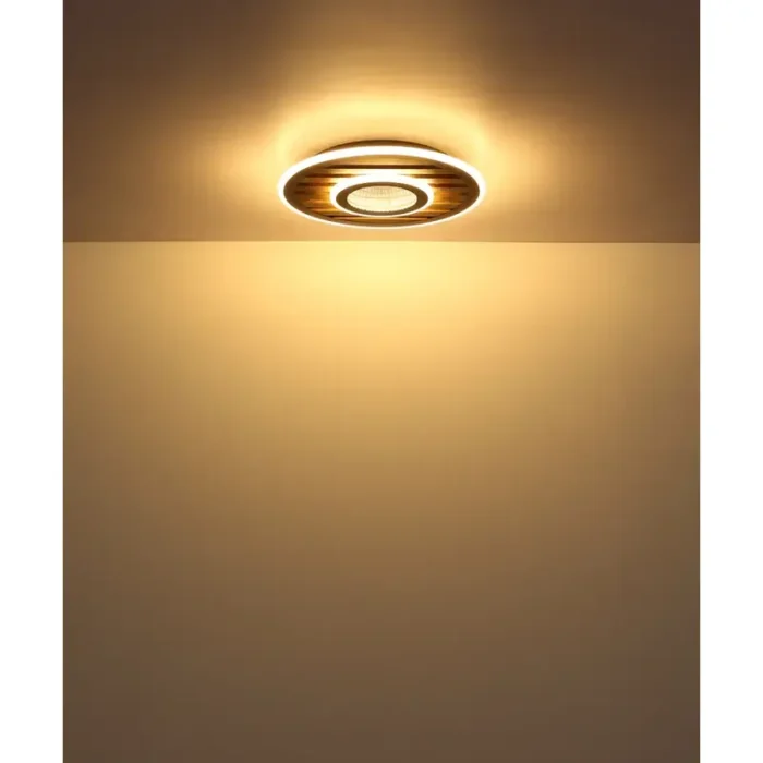 WOODY 67345D4 LED PLAFONSKA LAMPA GLOBO LIGHTING - Image 6