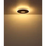 WOODY 67345D4 LED PLAFONSKA LAMPA GLOBO LIGHTING - Image 7