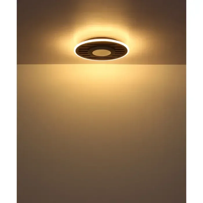 WOODY 67345D4 LED PLAFONSKA LAMPA GLOBO LIGHTING - Image 7