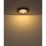 WOODY 67345D4 LED PLAFONSKA LAMPA GLOBO LIGHTING - Image 8